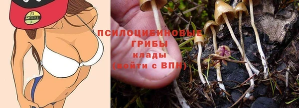 спиды Долгопрудный