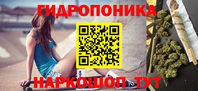 крисы Кингисепп