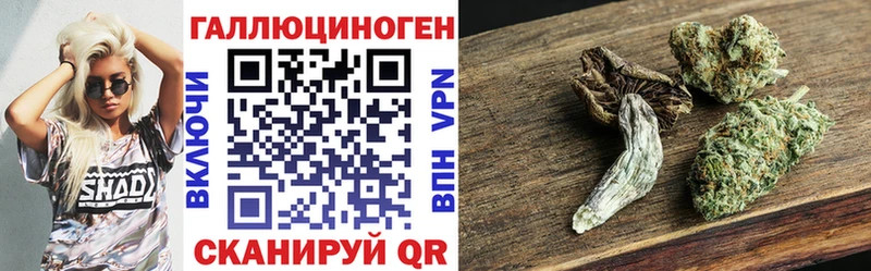 Псилоцибиновые грибы мухоморы  Карачаевск 