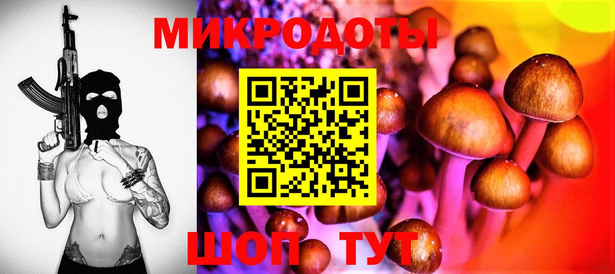Галлюциногенные грибы Psilocybe  Псилоцибиновые грибы мицелий  Вход с VPN  Карачаевск 