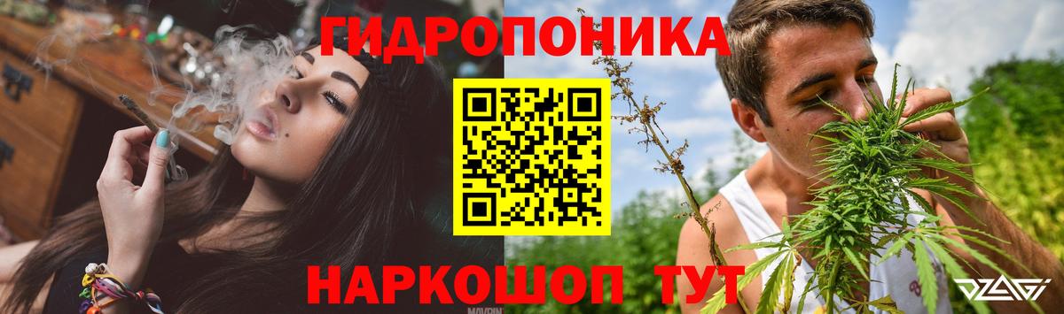 Бошки марихуана MAZAR Карачаевск